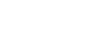 Logo transparent weiß