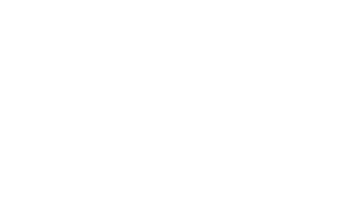 Logo transparent weiß