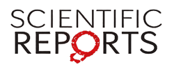 Logo Reports